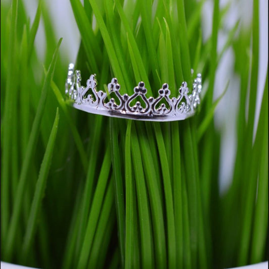 Sterling Silver Crown Ring - Style 2