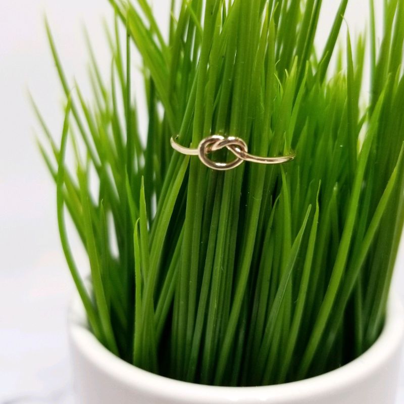 Gold Fill Love Knot Ring