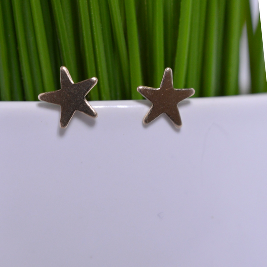 Small Gold Fill Star Earrings