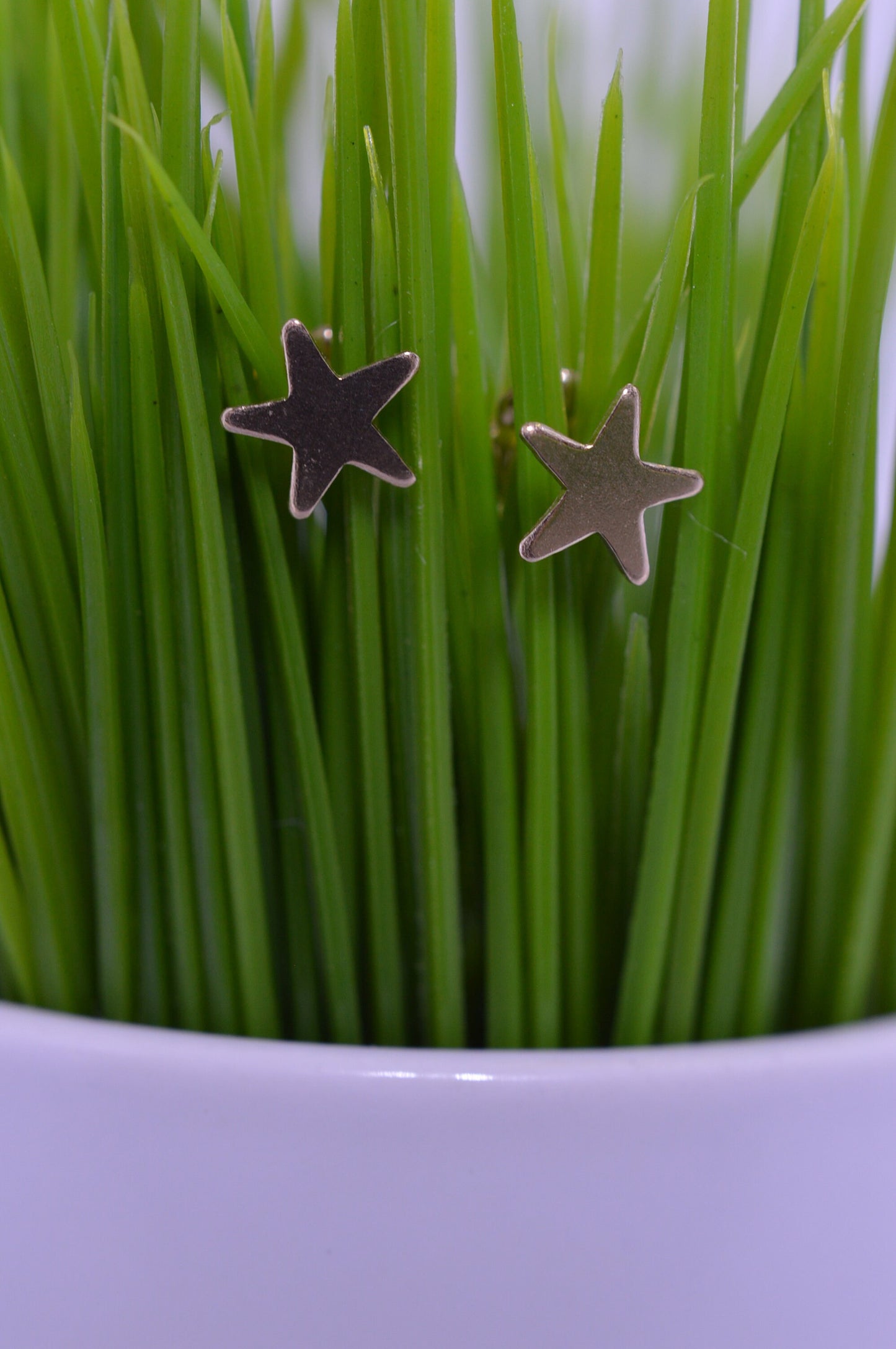 Small Gold Fill Star Earrings